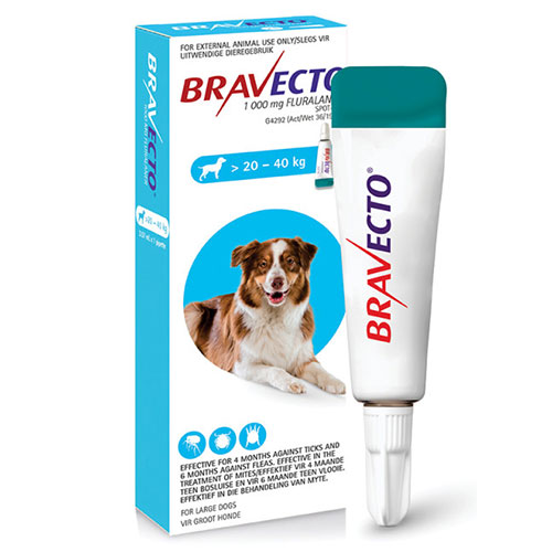 bravecto-spot-on-20-to-40kg